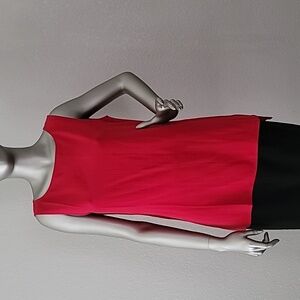 Eileen Fisher Scarlet Silk Georgette Crepe Bateau Neck Long Shell Top